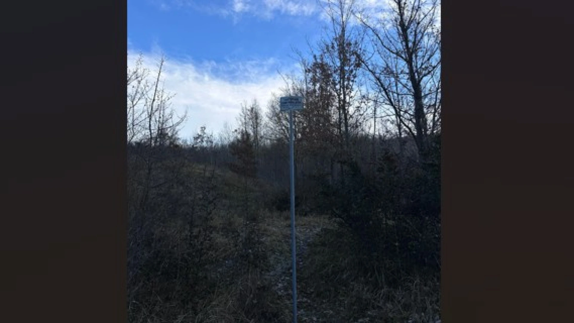 Rionero Sannitico: furto all’interno di una tartufaia del territorio. Malviventi beccati dalle telecamere. Il titolare dell’azienda si reca dai Carabinieri Forestali.